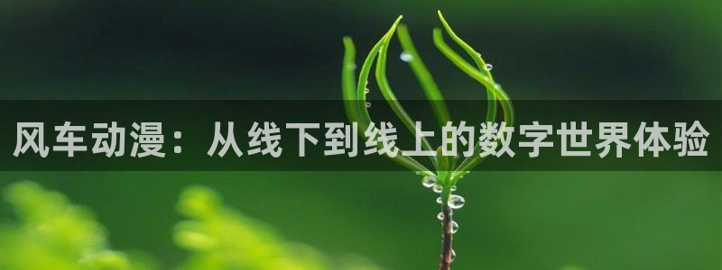 香蕉成熟时电影1：风车动漫：从线下到线上的数字世界体验配图