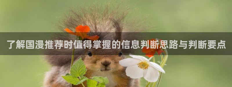 香蕉成熟时在线:了解国漫推荐时值得掌握的信息判断思路与判断要点配图