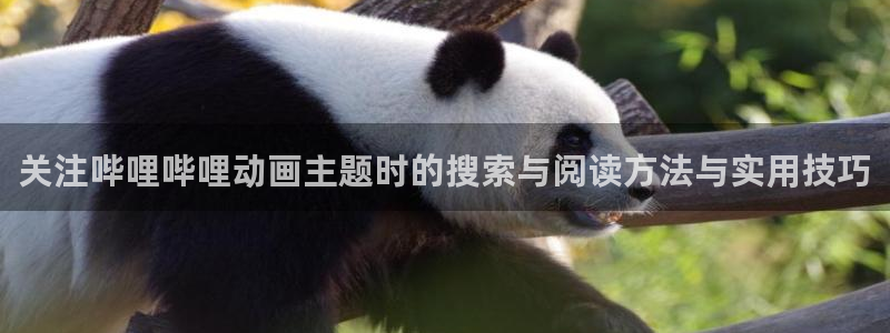 记得香蕉成熟时柏安妮：关注哔哩哔哩动画主题时的搜索与阅读方法与实用技巧配图