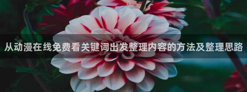 香蕉樱桃成熟时：从动漫在线免费看关键词出发整理内容的方法及整理思路配图